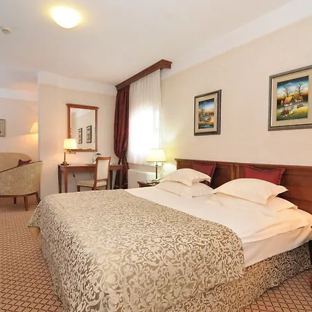 Отель Zlatnik 4*
